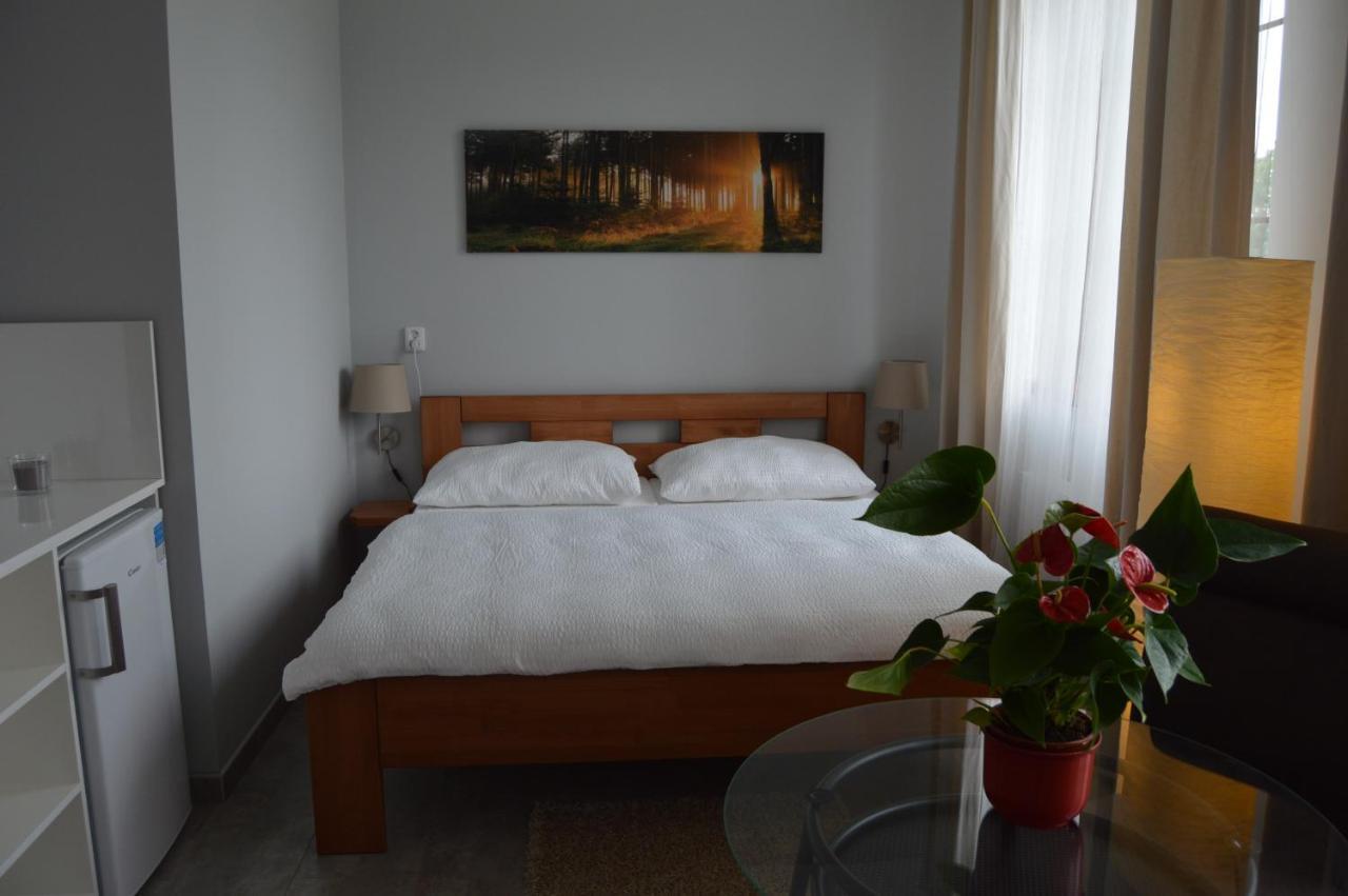 Vila Lipa Nový Bor Kültér fotó
